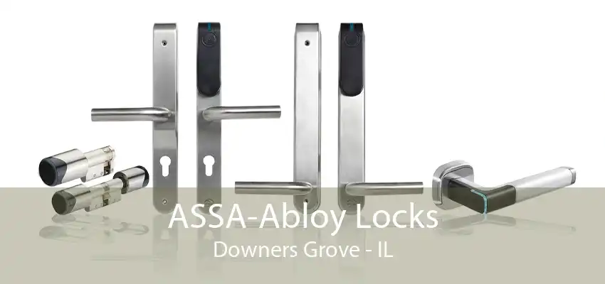 ASSA-Abloy Locks Downers Grove - IL