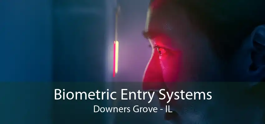 Biometric Entry Systems Downers Grove - IL