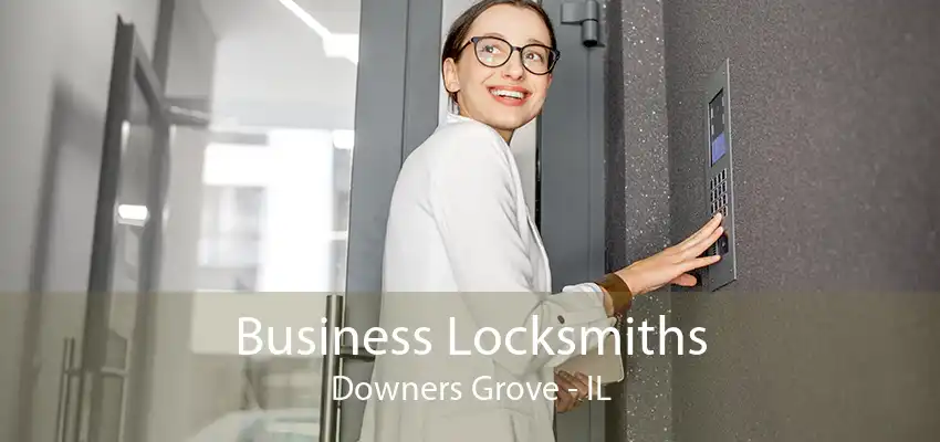 Business Locksmiths Downers Grove - IL