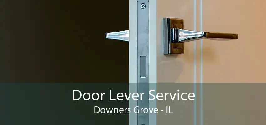 Door Lever Service Downers Grove - IL