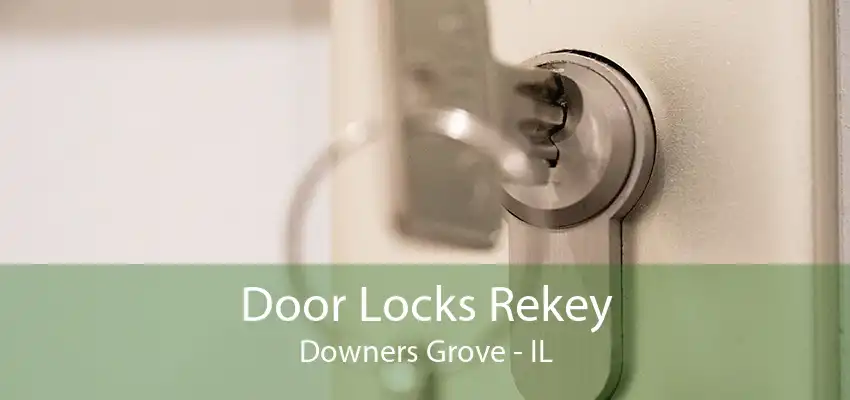 Door Locks Rekey Downers Grove - IL