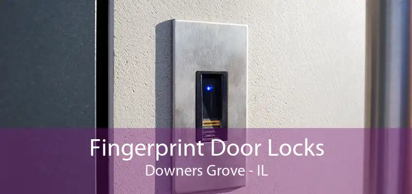 Fingerprint Door Locks Downers Grove - IL