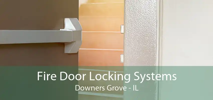 Fire Door Locking Systems Downers Grove - IL