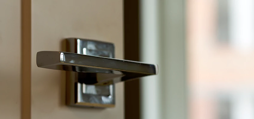 Door Lever Knob Repair in Downers Grove, Illinois