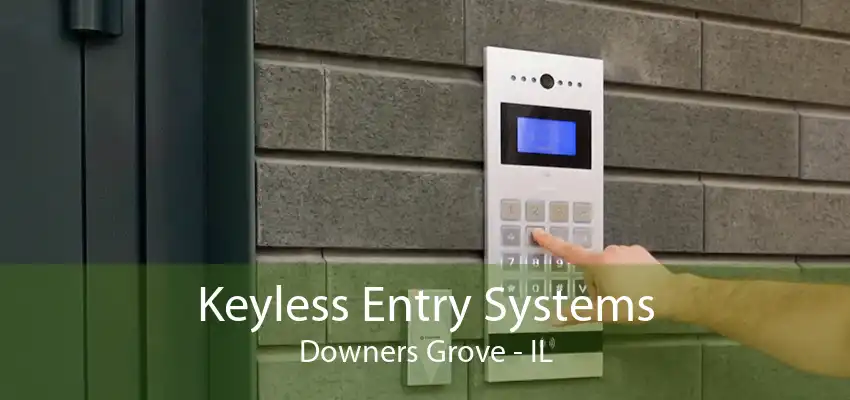 Keyless Entry Systems Downers Grove - IL