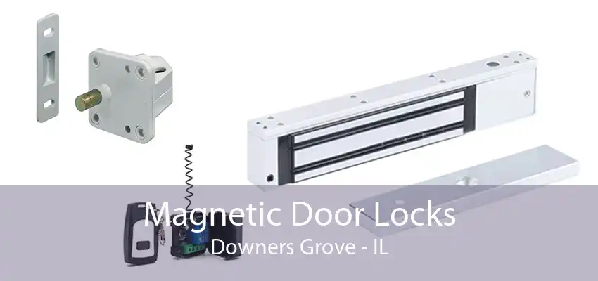 Magnetic Door Locks Downers Grove - IL