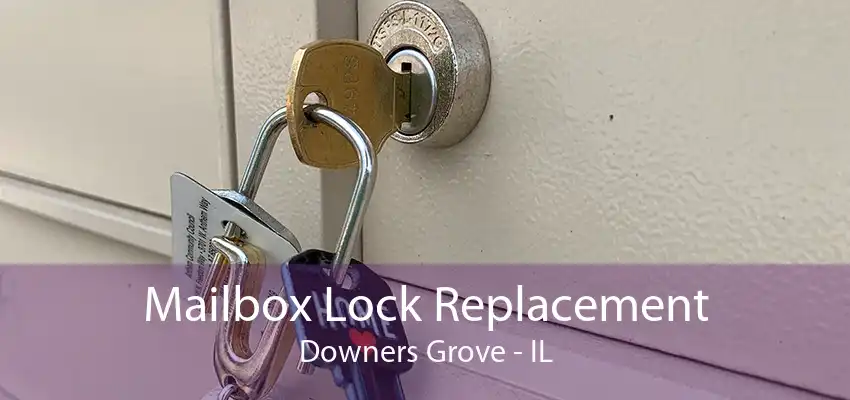 Mailbox Lock Replacement Downers Grove - IL