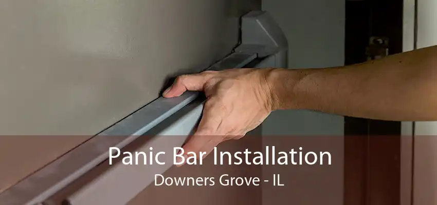 Panic Bar Installation Downers Grove - IL