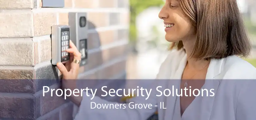 Property Security Solutions Downers Grove - IL