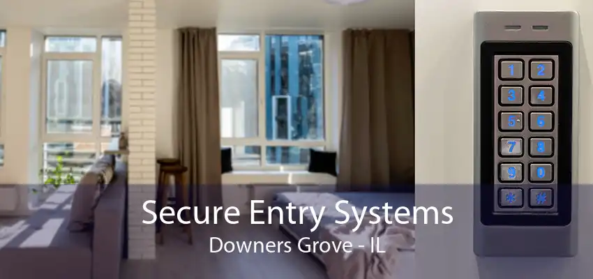 Secure Entry Systems Downers Grove - IL