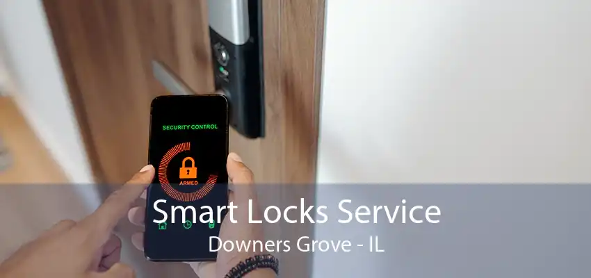 Smart Locks Service Downers Grove - IL