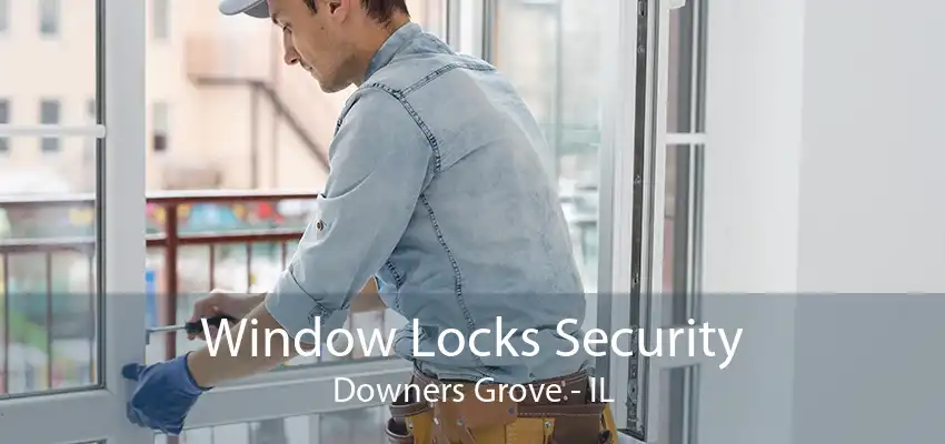 Window Locks Security Downers Grove - IL